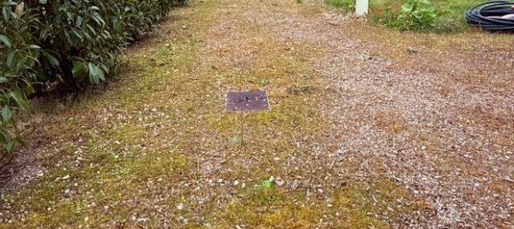 Terrain à Olivet, France 651m² No. 93032 5