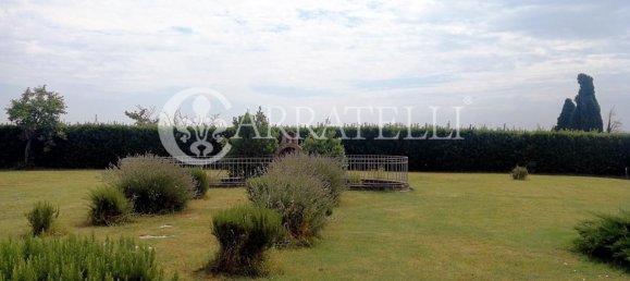 1 bedroom Villa in Castelnuovo Berardenga, Italy No. 60920 6