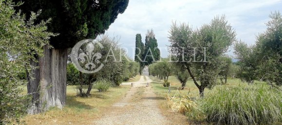 1 bedroom Villa in Castelnuovo Berardenga, Italy No. 60920 12