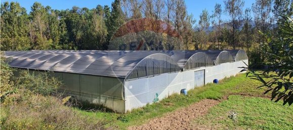 17750m² Land in Vila Verde, Portugal No. 33906 2