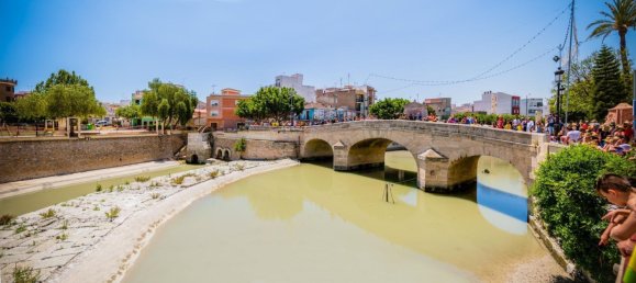 3 غرف نوم فيلا في Rojales, Spain رقم 5987 13