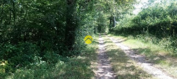 3 bedrooms House in Saint-Amand-Montrond, France No. 88752 14