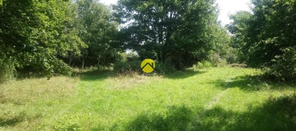 3 bedrooms House in Saint-Amand-Montrond, France No. 88752 16