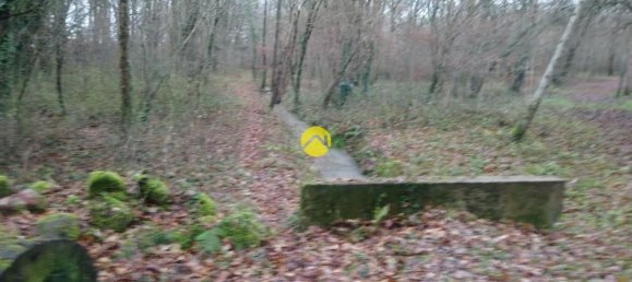 3 bedrooms House in Saint-Amand-Montrond, France No. 88752 2