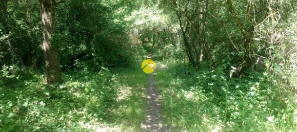 3 bedrooms House in Saint-Amand-Montrond, France No. 88752 15