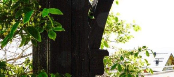 10 rooms House in Berg im Drautal, Austria No. 135078 2