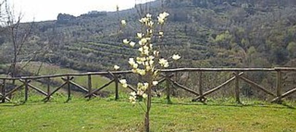 5 bedrooms Apartment in Perugia, Italy No. 350610 5