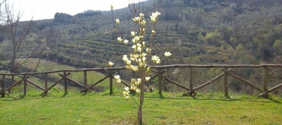 5 bedrooms Apartment in Perugia, Italy No. 350610 15