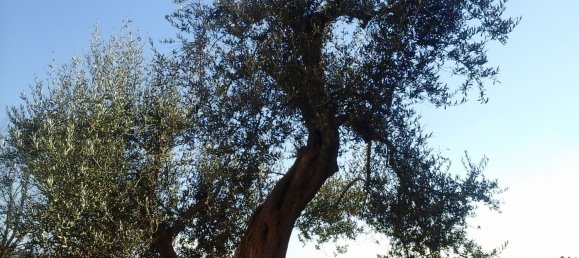 5 bedrooms Apartment in Perugia, Italy No. 350610 8