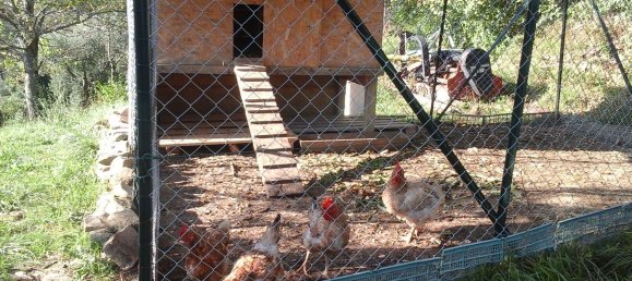 5 bedrooms Apartment in Perugia, Italy No. 350610 10