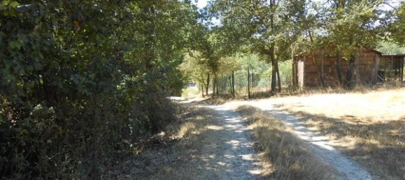 Дом с 10 комнатами в Мондавио, Италия № 113780 13