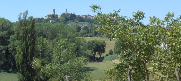 Дом с 10 комнатами в Мондавио, Италия № 113780 7