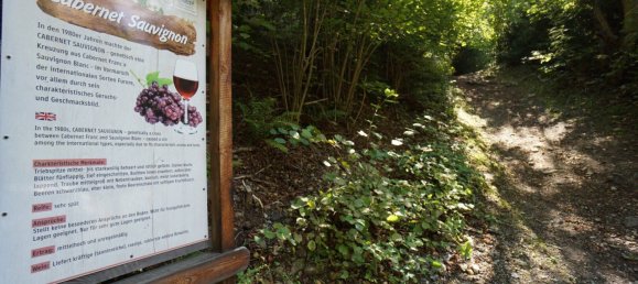  قطعة أرض في Obervellach, Austria رقم 128823 5