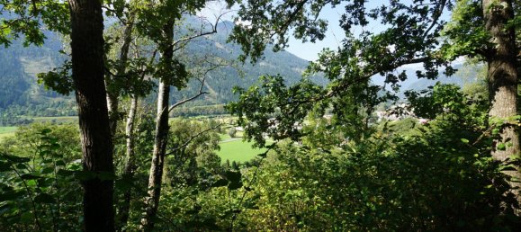  قطعة أرض في Obervellach, Austria رقم 128823 6