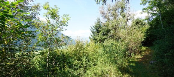  قطعة أرض في Obervellach, Austria رقم 128823 3