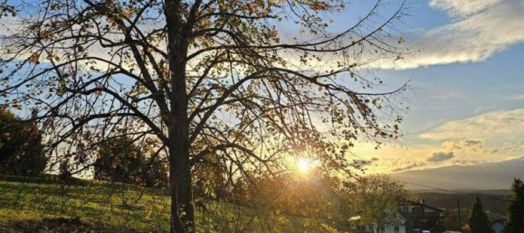 Land in Leibnitz, Austria No. 111297 3