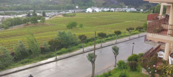 3 غرف نوم شقة في Villafranca del Bierzo, Spain رقم 154189 18