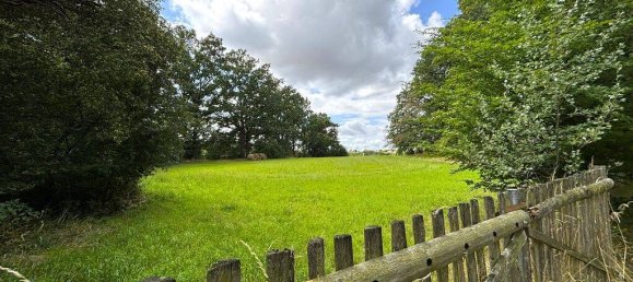 10-salle Ferme à Burgenlandkreis, Germany No. 261820 19