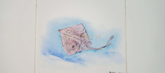 Villa de 2 dormitorios en Tavira, Portugal No. 135304 14