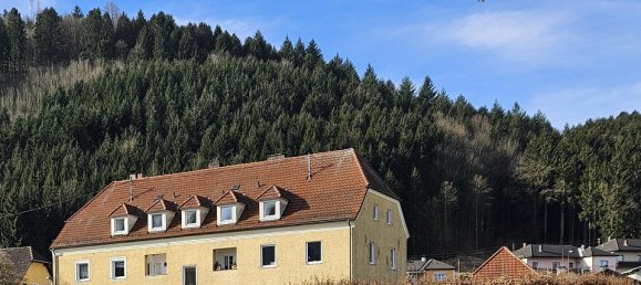 Apartamento de 4 habitaciónes en Grein, Austria No. 127115 13