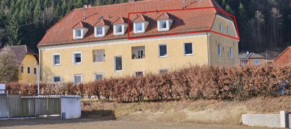 Apartamento de 4 habitaciónes en Grein, Austria No. 127115 12