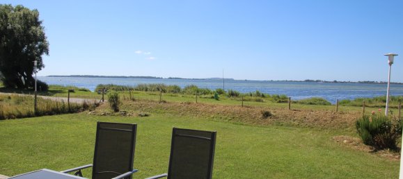 Коммерческая недвижимость с 12 спальнями в Передняя Померания-Рюген, Германия № 117828 7