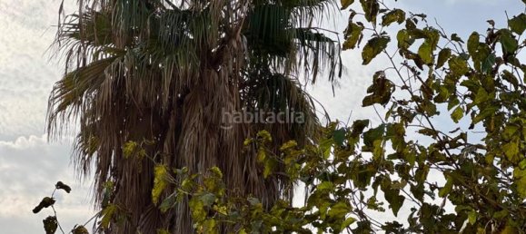 3 chambres Appartement à Valencia, Spain No. 118190 34