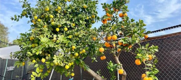 3 chambres Appartement à Valencia, Spain No. 118190 31