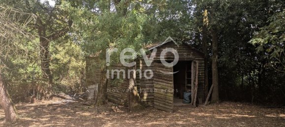 2 chambres Maison à Corcoué-sur-Logne, France No. 337398 8