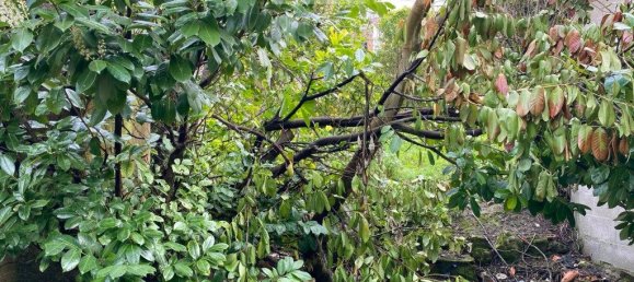 4 Schlafzimmer Haus in Casal Comba, Portugal, Nr. 301708 8