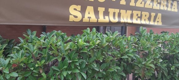 90m² Commercial property in Latina, Italy No. 256351 8