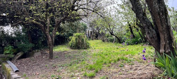 240m² Land in Vila Real, Portugal No. 146515 11