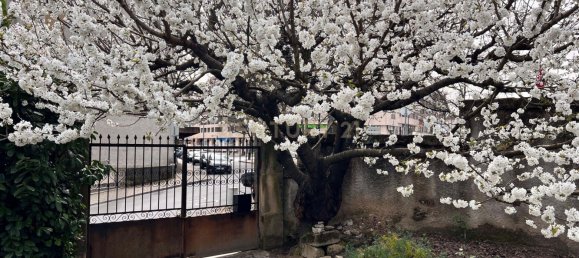 240m² Land in Vila Real, Portugal No. 146515 2