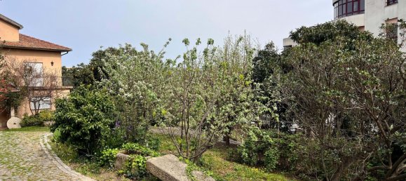 240m² Land in Vila Real, Portugal No. 146515 9