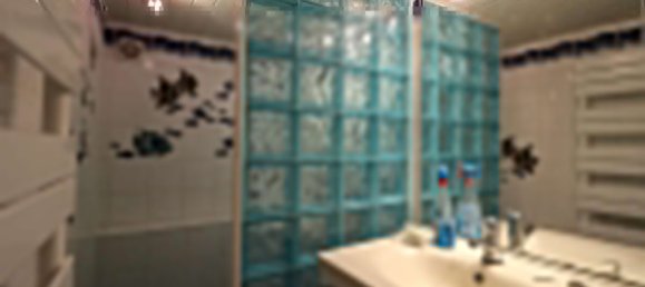 4 Schlafzimmer Haus in Juvisy-sur-Orge, France, Nr. 182509 8