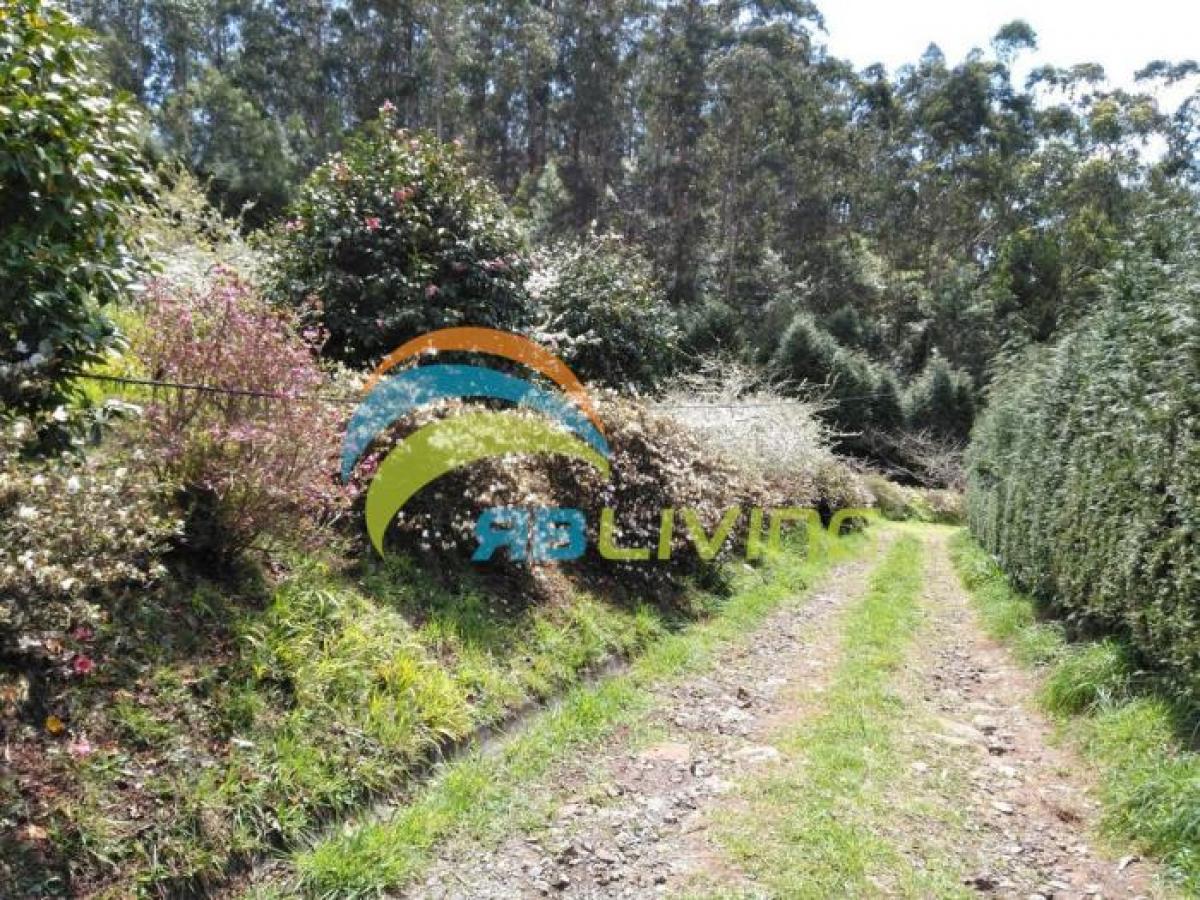 14000m² Land in Santa Cruz, Portugal No. 2097