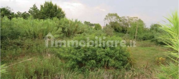 1 room Warehouse in Chioggia, Italy No. 267106 5