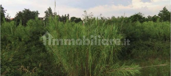 1 room Warehouse in Chioggia, Italy No. 267106 6