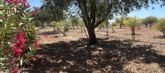 5 bedrooms House in Cartaxo, Portugal No. 139933 25