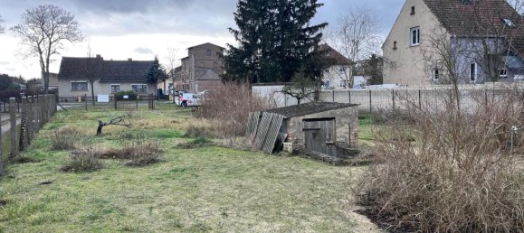  Land in Potsdam-Mittelmark, Germany No. 52110 11