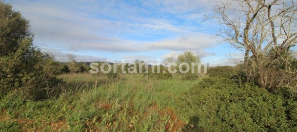  قطعة أرض في Sao Bartolomeu de Messines, Portugal 24080متر مربع رقم 82012 3