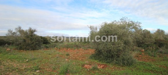  قطعة أرض في Sao Bartolomeu de Messines, Portugal 24080متر مربع رقم 82012 8