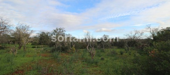  قطعة أرض في Sao Bartolomeu de Messines, Portugal 24080متر مربع رقم 82012 9