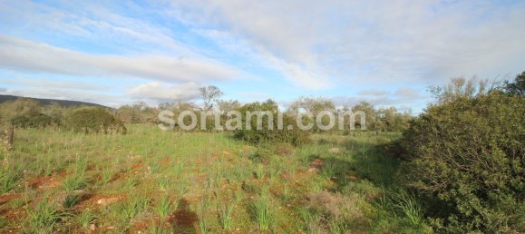  قطعة أرض في Sao Bartolomeu de Messines, Portugal 24080متر مربع رقم 82012 5