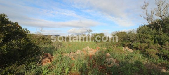  قطعة أرض في Sao Bartolomeu de Messines, Portugal 24080متر مربع رقم 82012 4