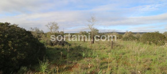  قطعة أرض في Sao Bartolomeu de Messines, Portugal 24080متر مربع رقم 82012 7
