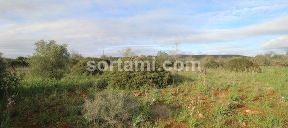  قطعة أرض في Sao Bartolomeu de Messines, Portugal 24080متر مربع رقم 82012 6