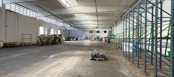 Entrepôt à Cremona, Italy 3500m² No. 286182 28