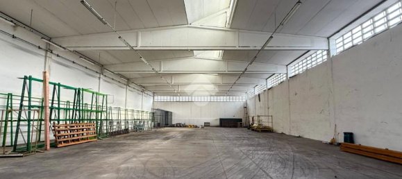 Entrepôt à Cremona, Italy 3500m² No. 286182 36