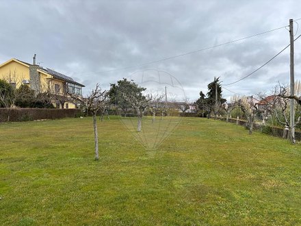 5 chambres Maison à Macedo de Cavaleiros, Portugal No. 169632